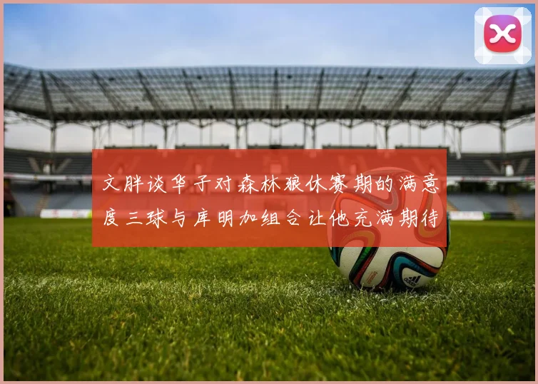 文胖谈华子对森林狼休赛期的满意度三球与库明加组合让他充满期待